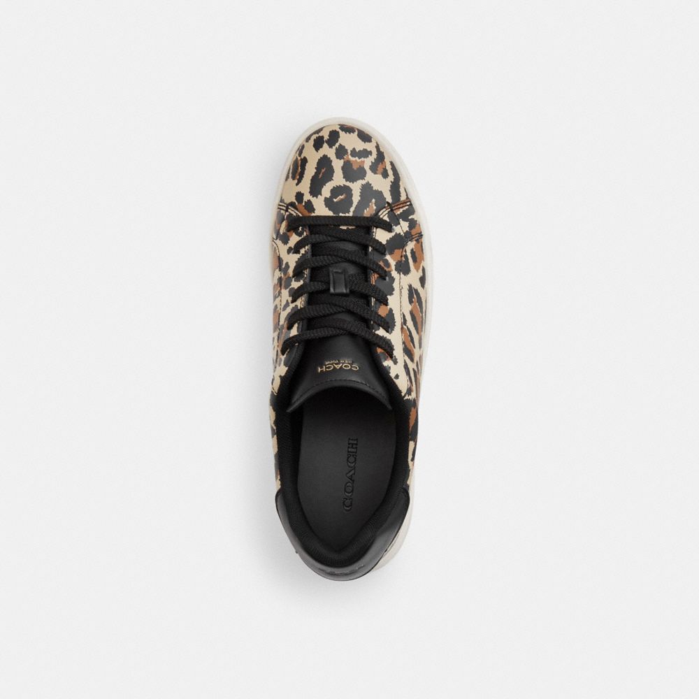 Women's Coach High Line Sneaker With Leopard Print Black Leopard