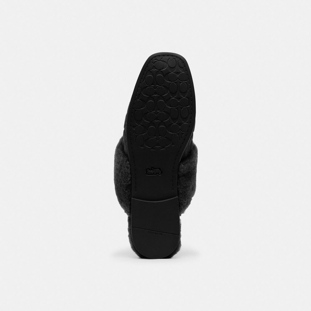 Women's Coach Sherpa Flat Mule In Signature Suede Black