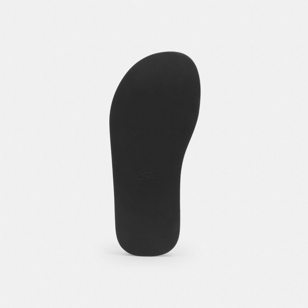 Women's Coach Sculpted C Platform Thong Sandal Black