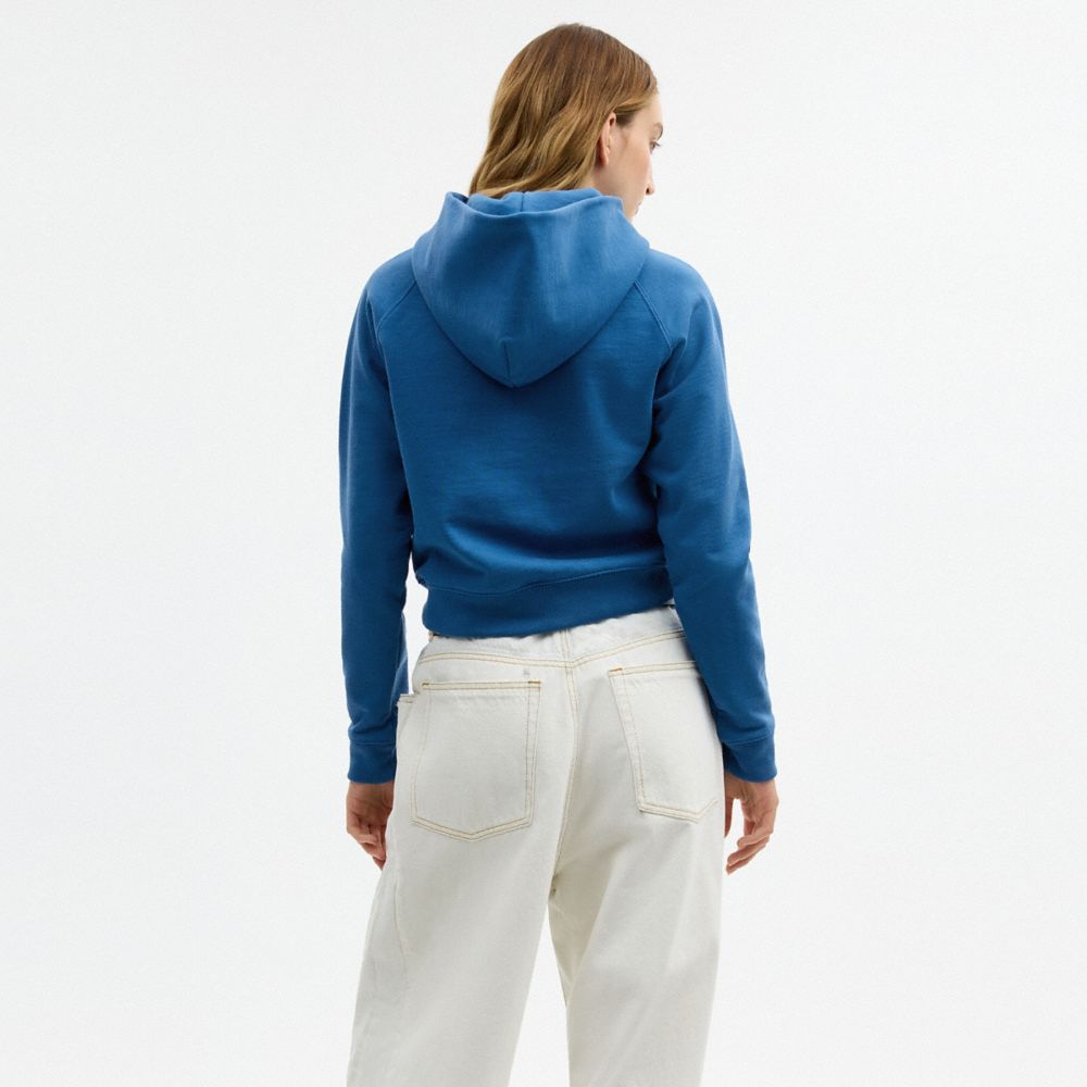 Coach Airbrush Hoodie Blue