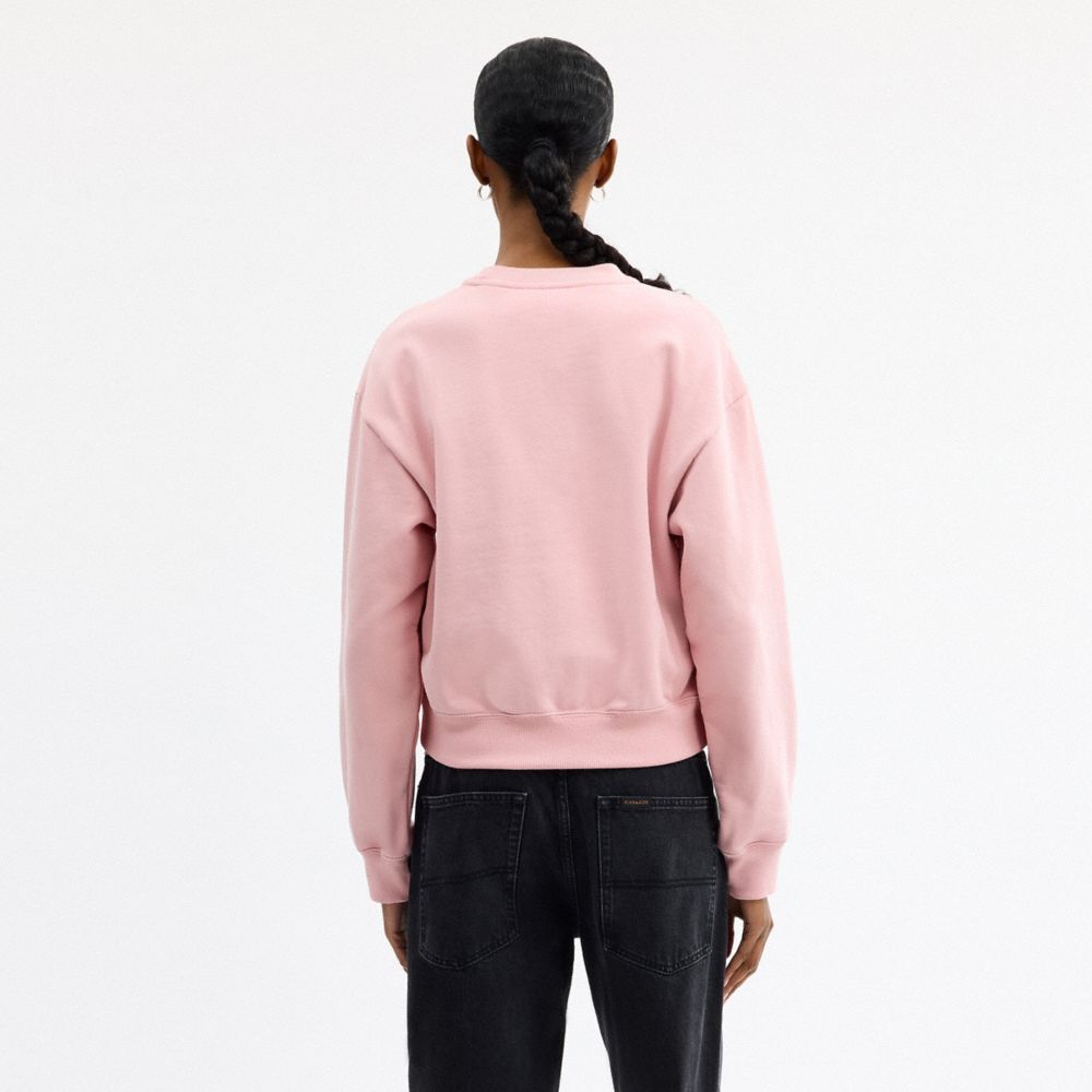 Coach Candy Crewneck Sweater Pink