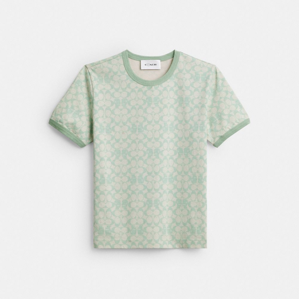 Coach Coach | Brain Dead Signature Ringer T Shirt Mint