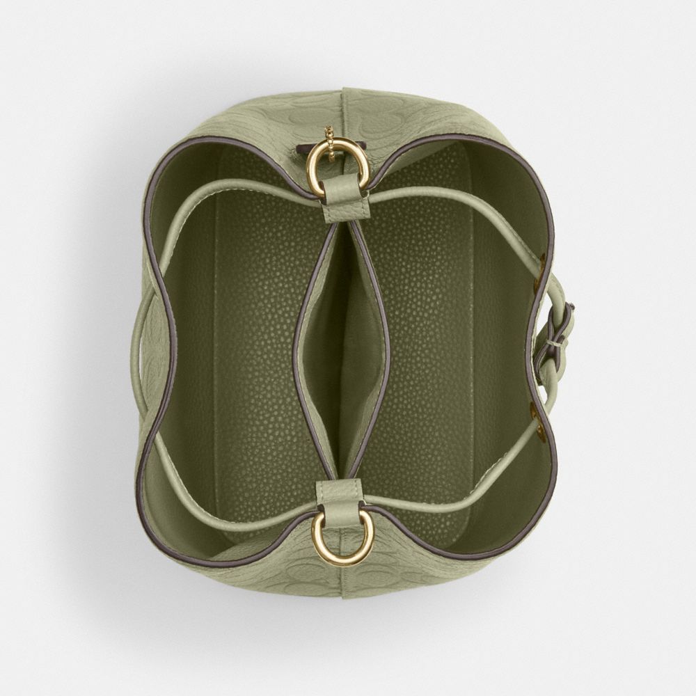 Coach Rowan Bucket Bag In Signature Leather Gold Pistachio