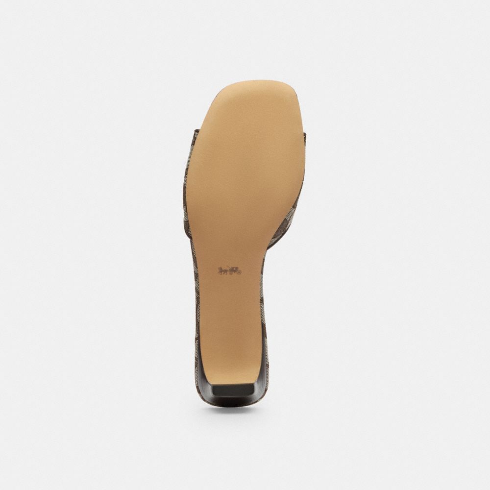 Women's Coach Bow Kitten Heel Sandal In Signature Jacquard Oak Maple