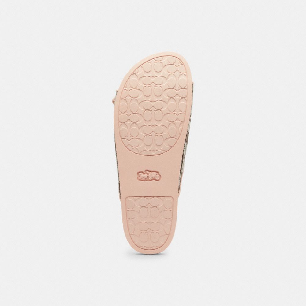 Women's Coach Two Band Buckle Sandal In Signature Jacquard Oak Candy Pink