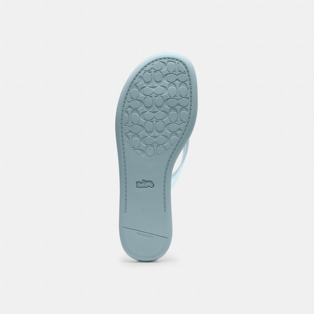Women's Coach Jelly Flip Flop In Signature Sea Mist