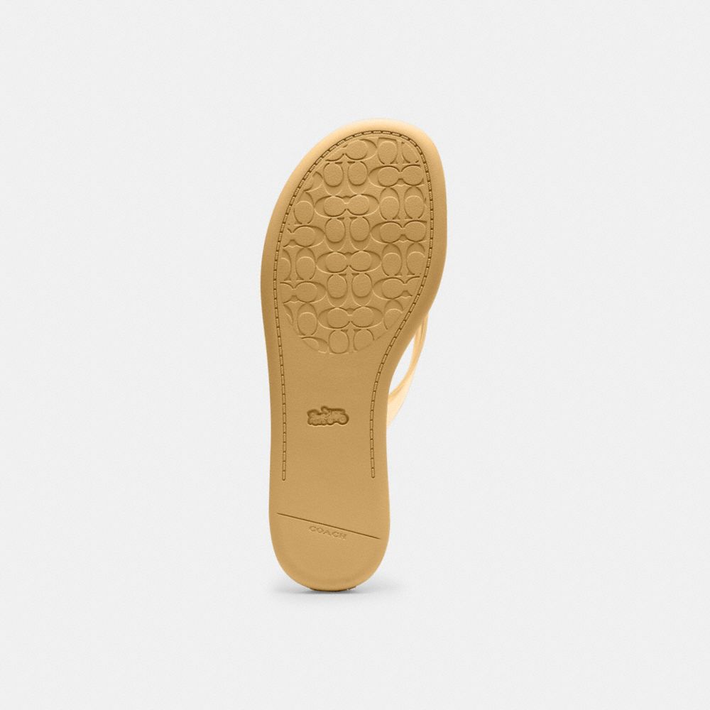 Women's Coach Jelly Flip Flop In Signature Vanilla