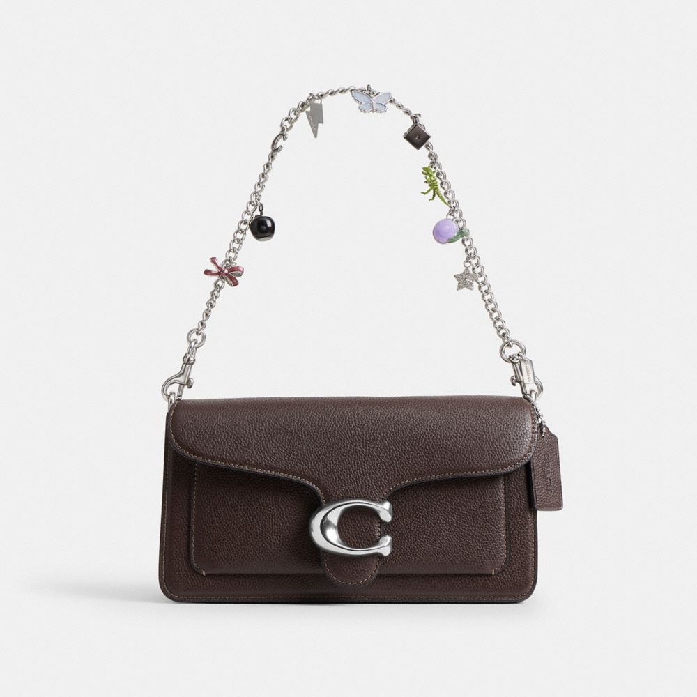 Coach Charm Chain Strap Silver Multi