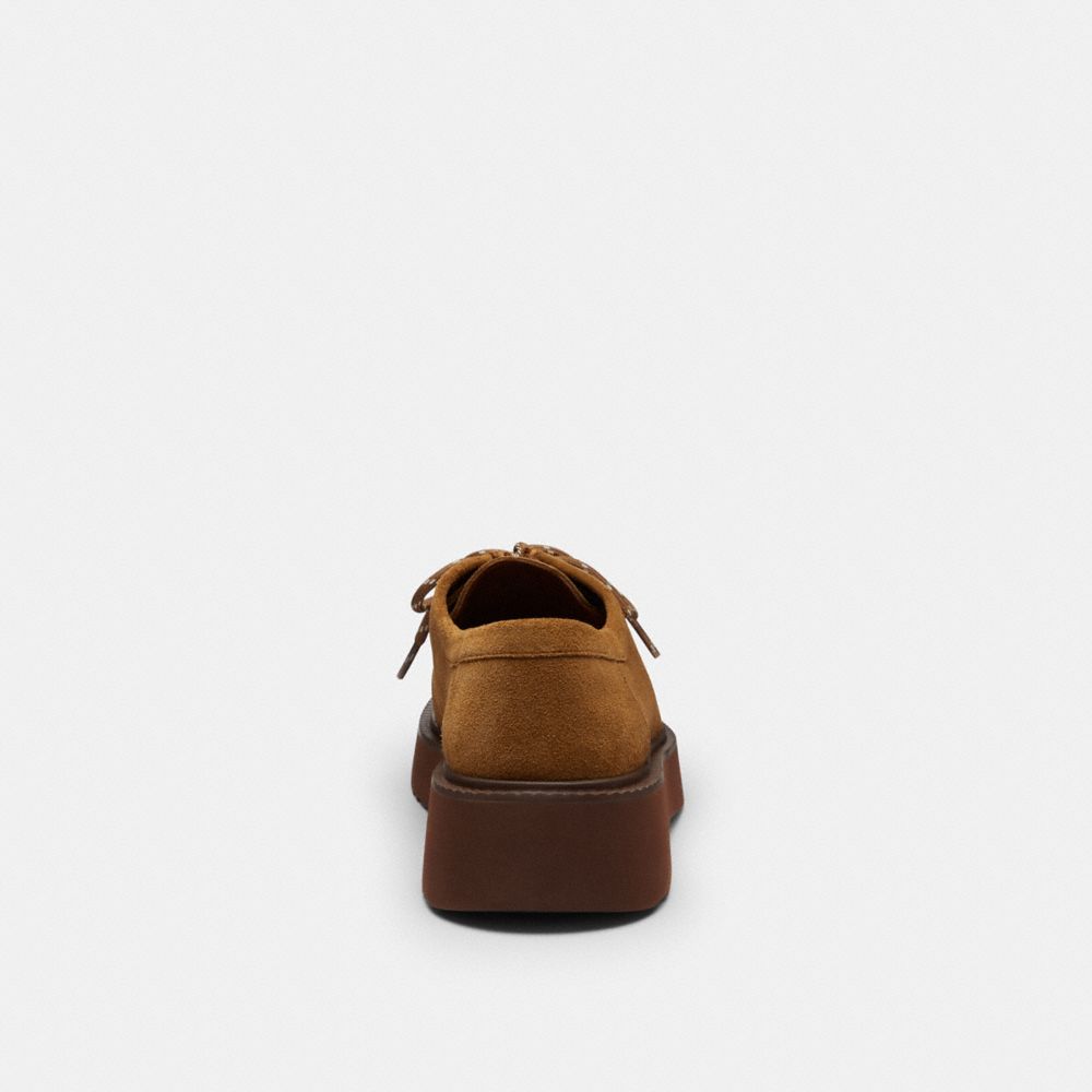 Men's Coach Chukka Boot In Signature Suede Tobacco Maple