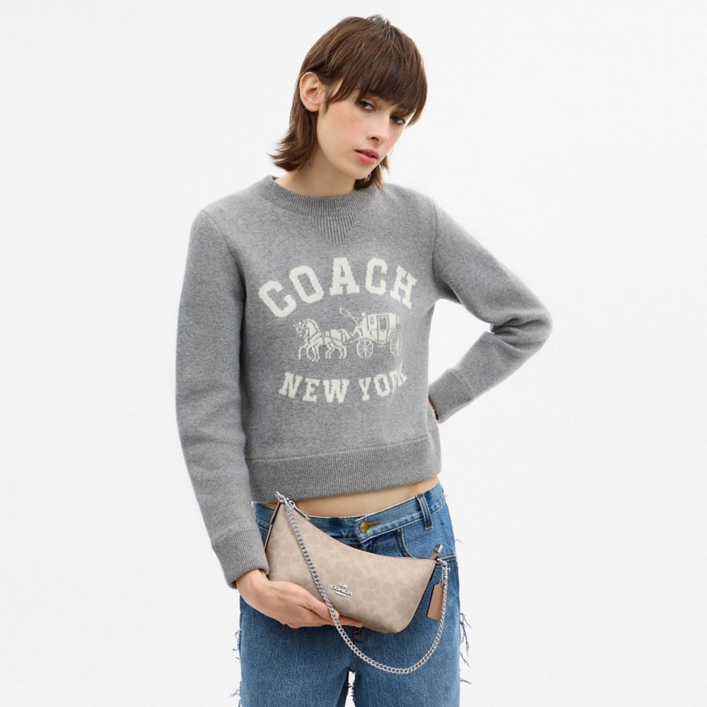 Coach Caitlin Shoulder Bag In Signature Canvas Silver Sand Taupe