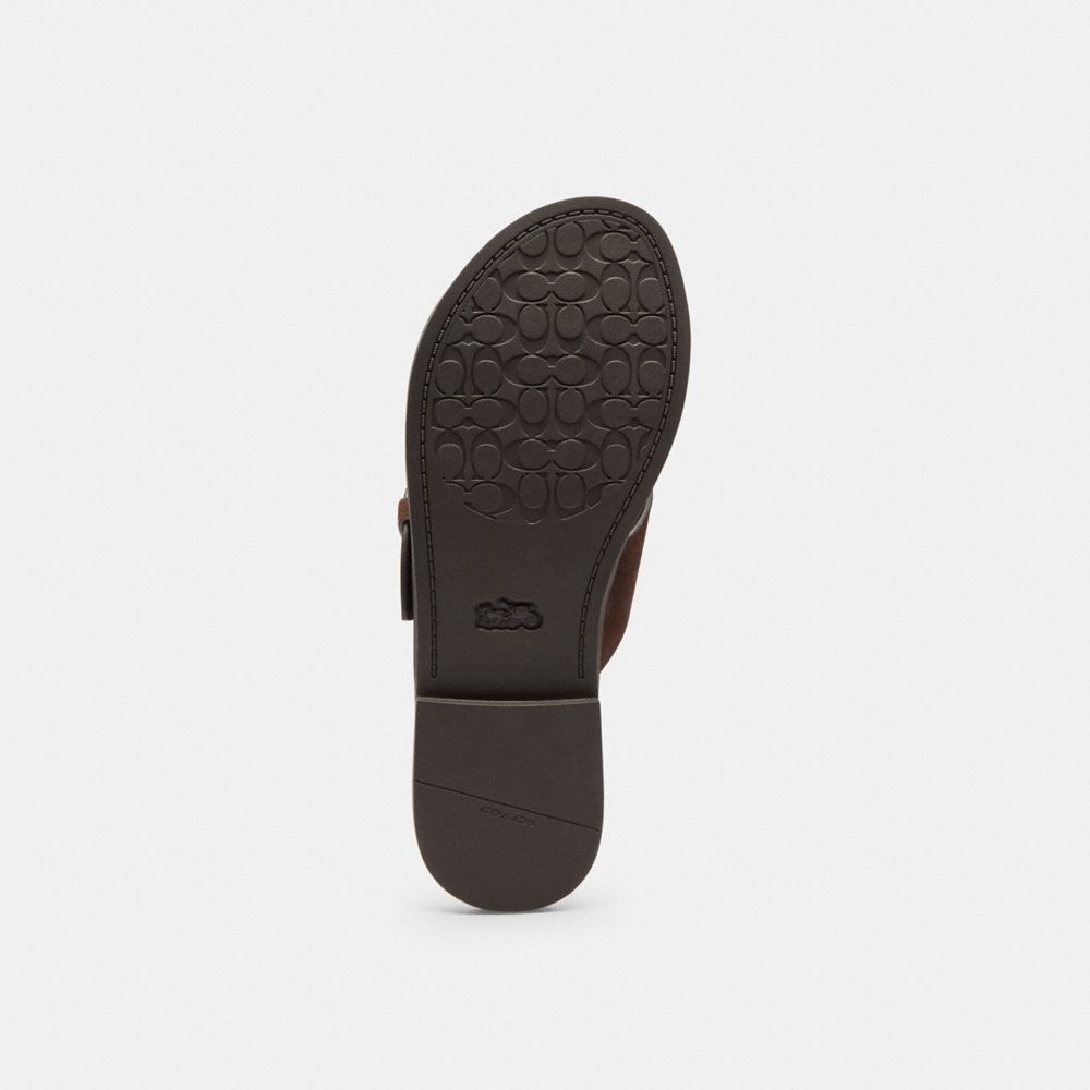 Women's Coach Crisscross Buckle Sandal Chocolate Brown