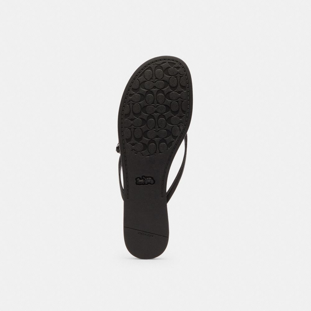 Women's Coach Bow Flip Flop Black
