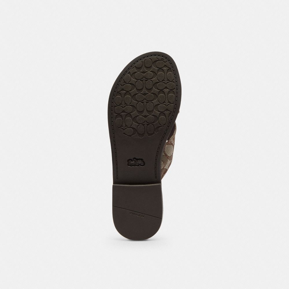 Women's Coach Crisscross Buckle Sandal In Signature Jacquard Oak Maple