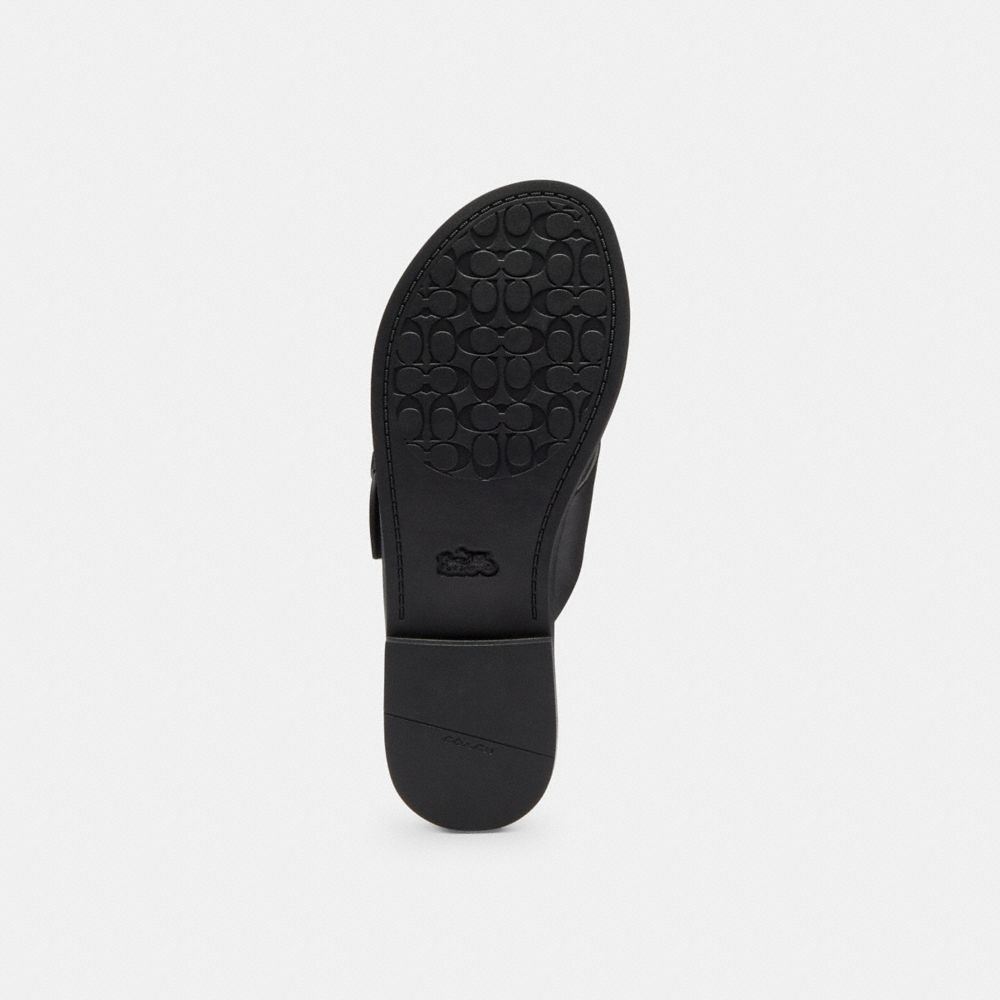 Women's Coach Crisscross Buckle Sandal Black