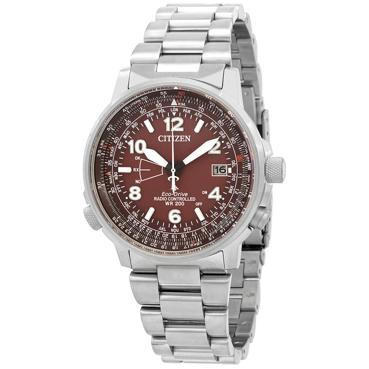 Citizen Perpetual World Time Watch