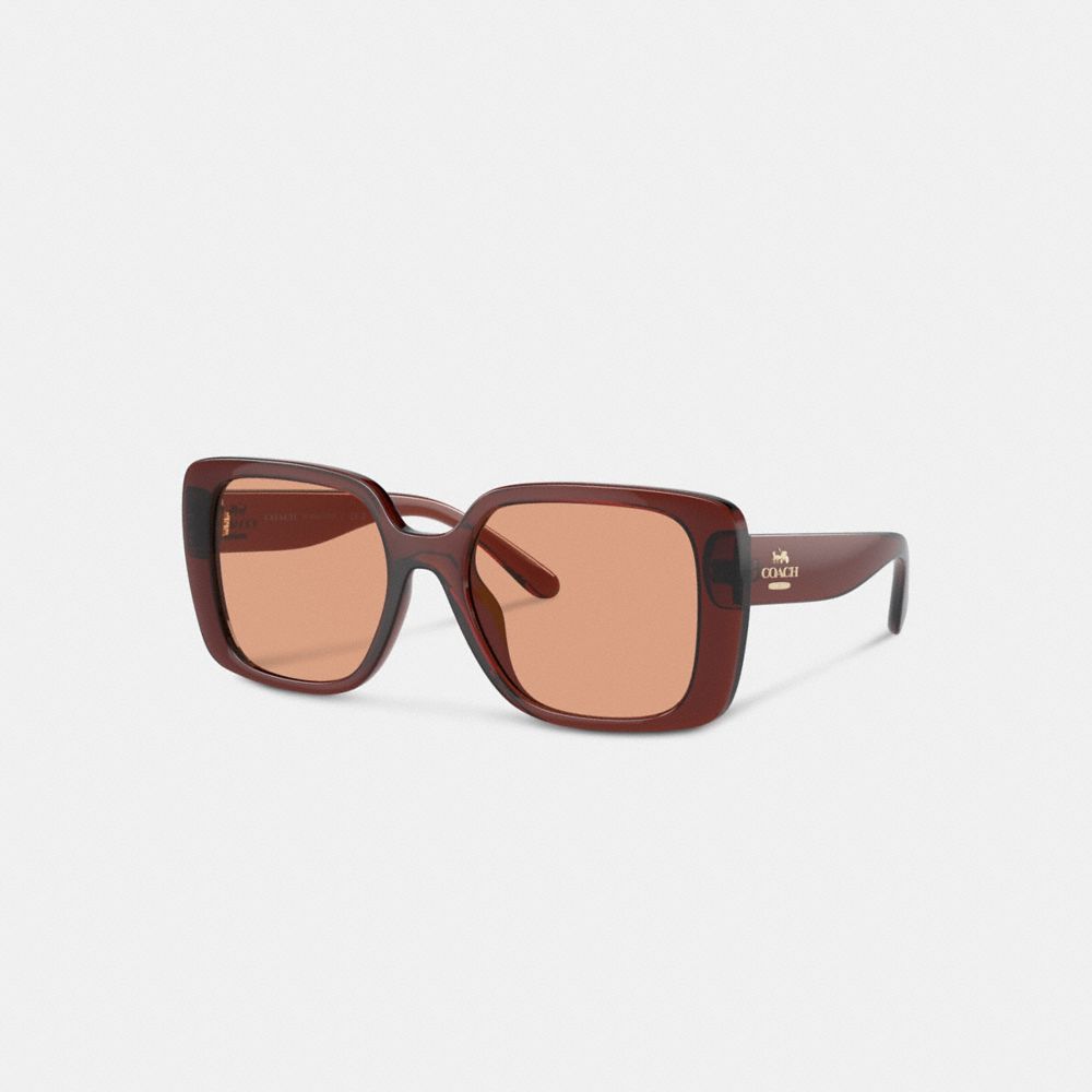 Coach Oversized Square Sunglasses Transparent Caramel