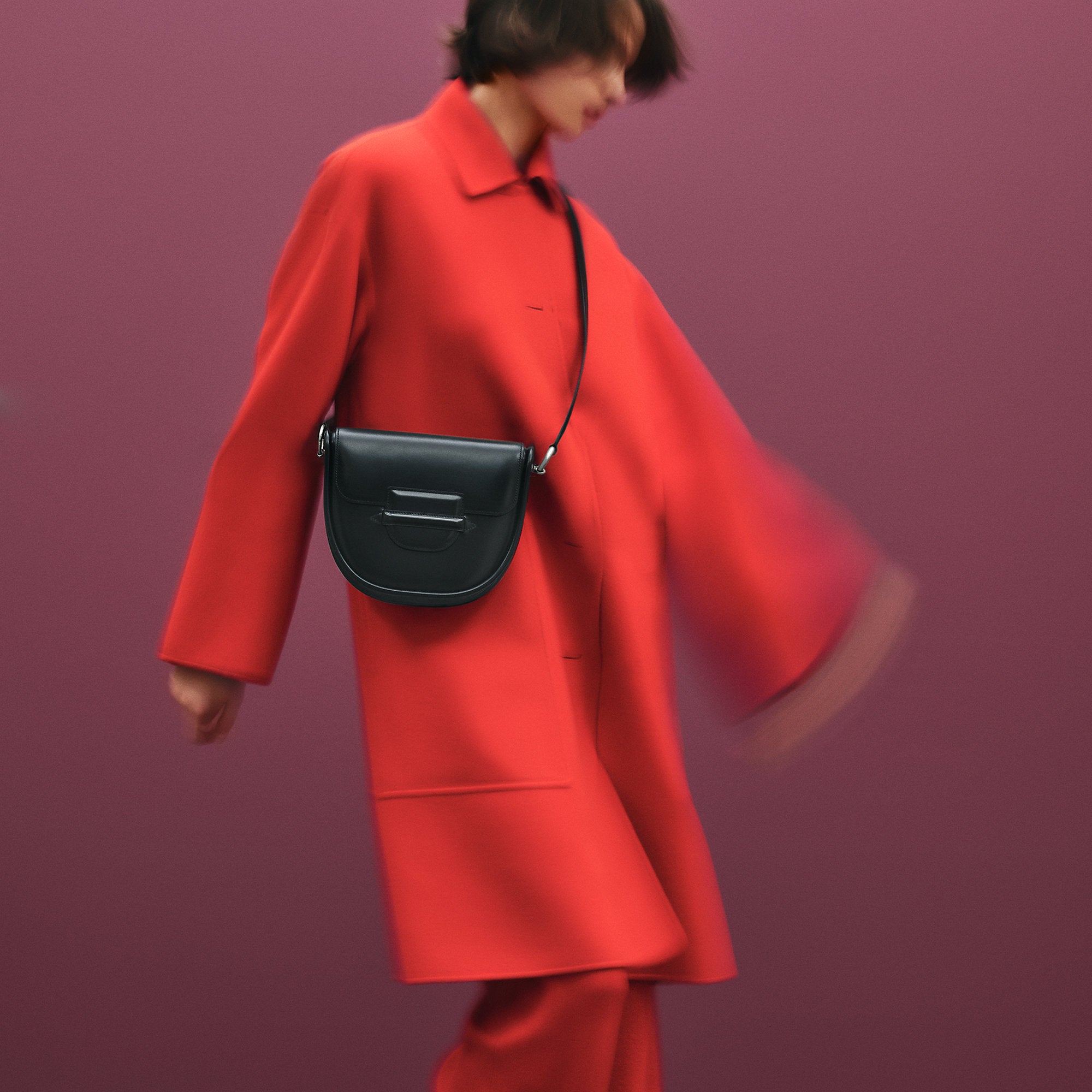 Hermes Collier D'Attelage Bag Noir