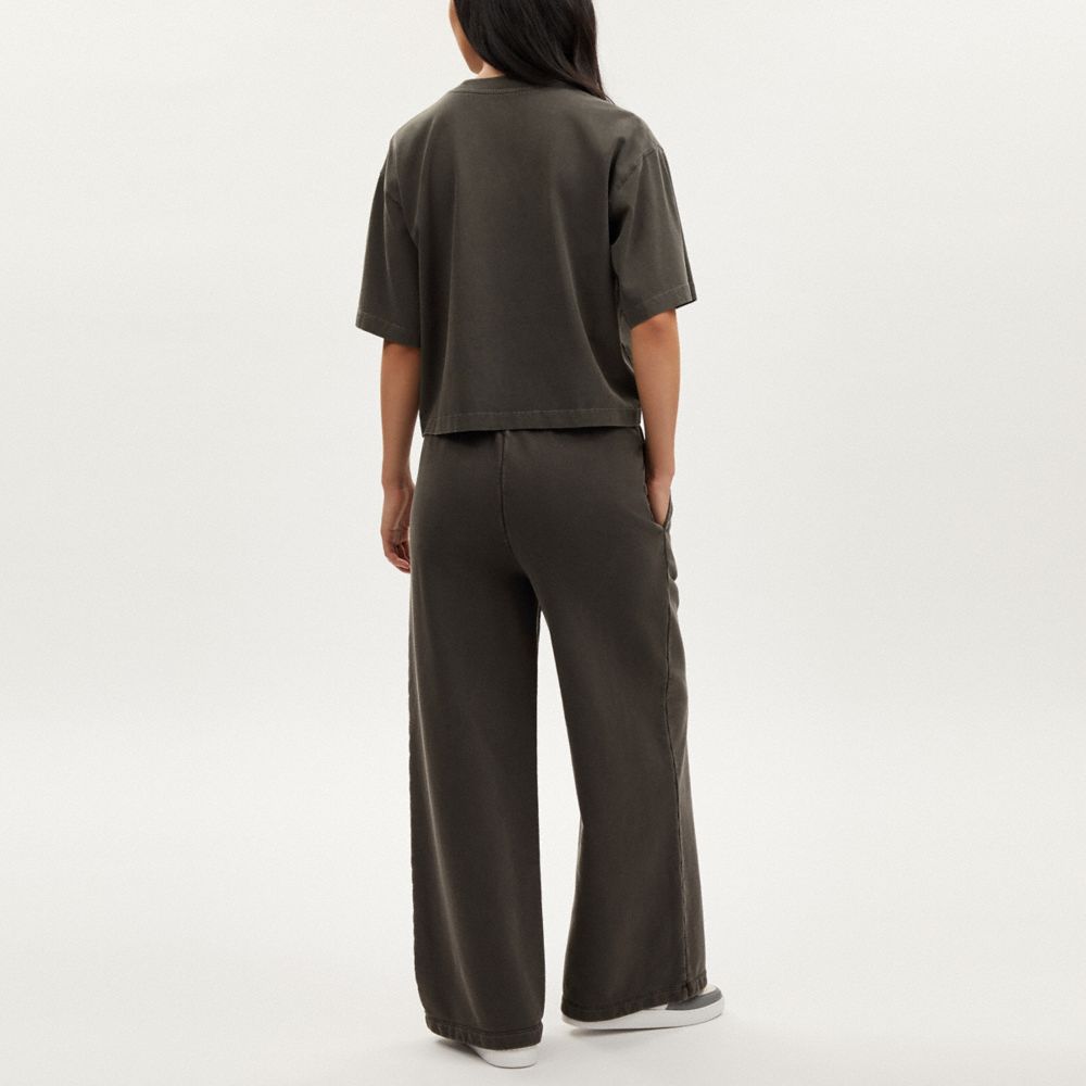 Coach Garment Dye Track Pants Smoke