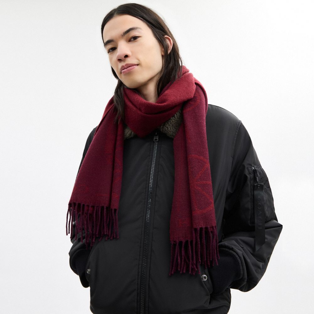 Coach Horse And Carriage Print Oversized Muffler Dark Wine