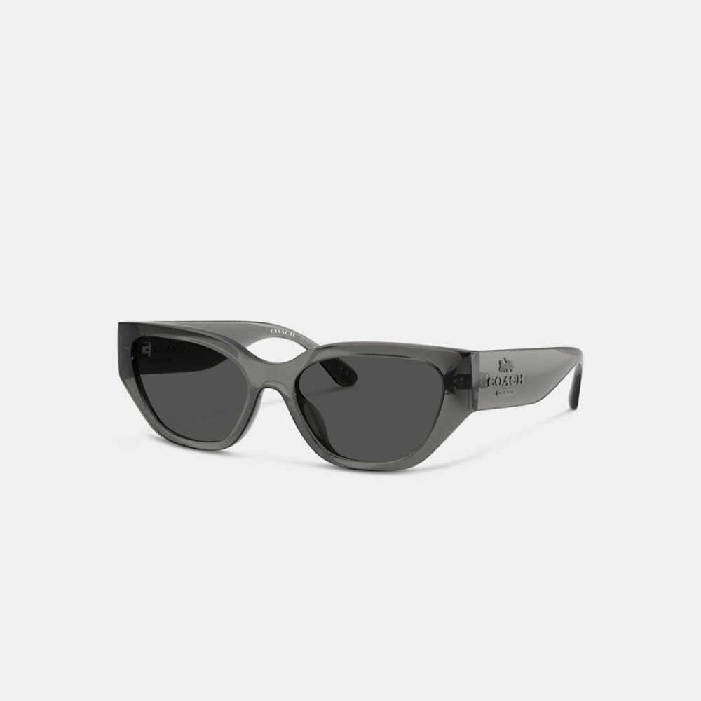 Coach Geometric Cat Eye Sunglasses Transparent Gray