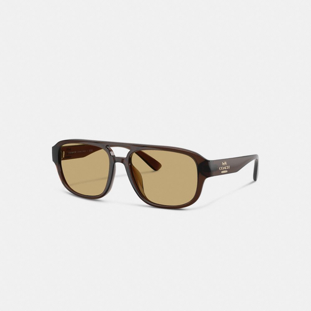 Coach Pilot Sunglasses Transparent Brown