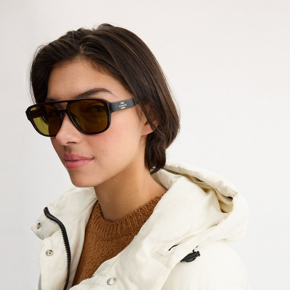 Coach Pilot Sunglasses Transparent Brown