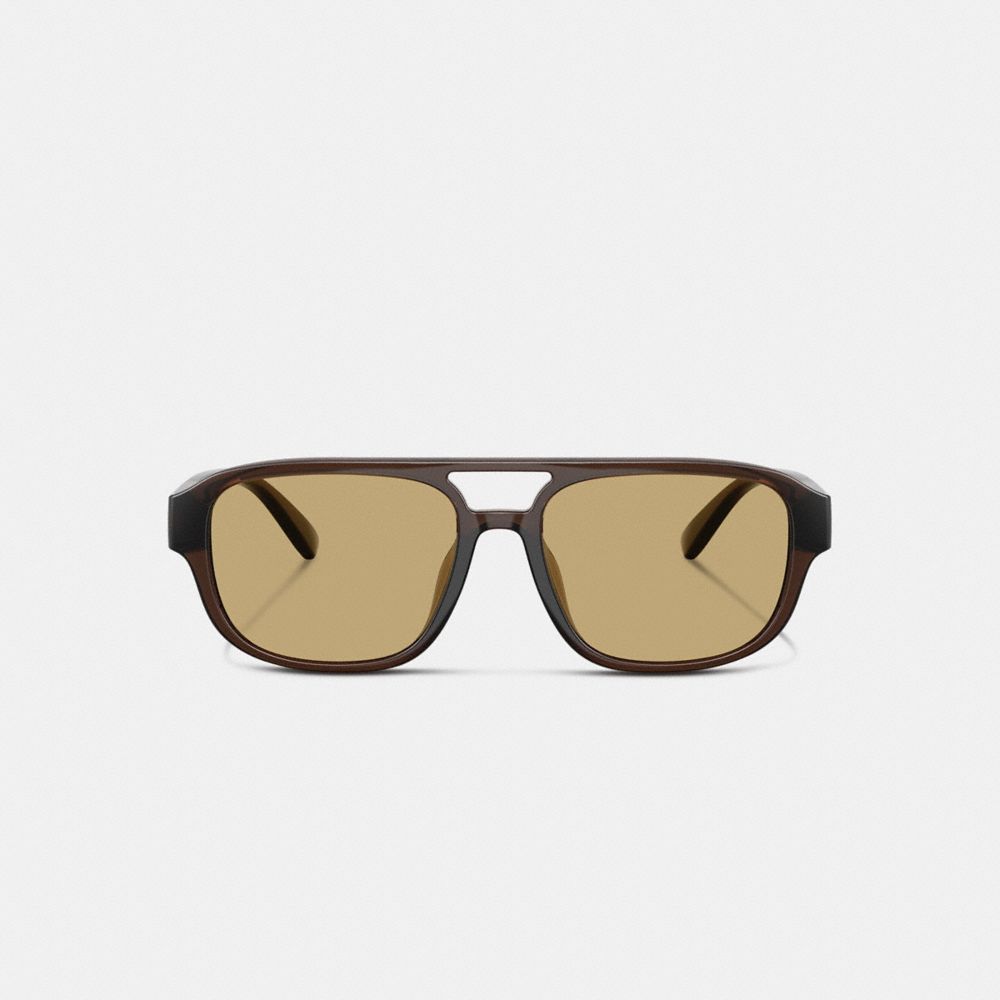 Coach Pilot Sunglasses Transparent Brown