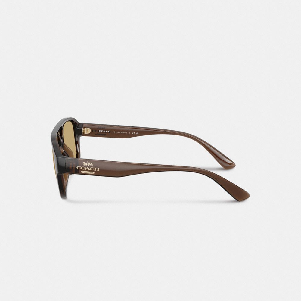 Coach Pilot Sunglasses Transparent Brown