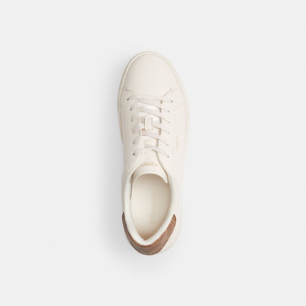 Women's Coach High Line Sneaker Chalk Brown Khaki