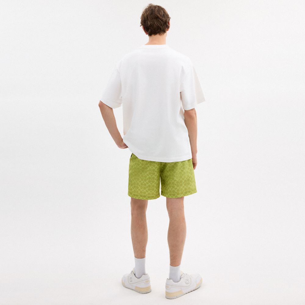 Coach Pear Relaxed T Shirt In Organic Cotton Vintage Ivory