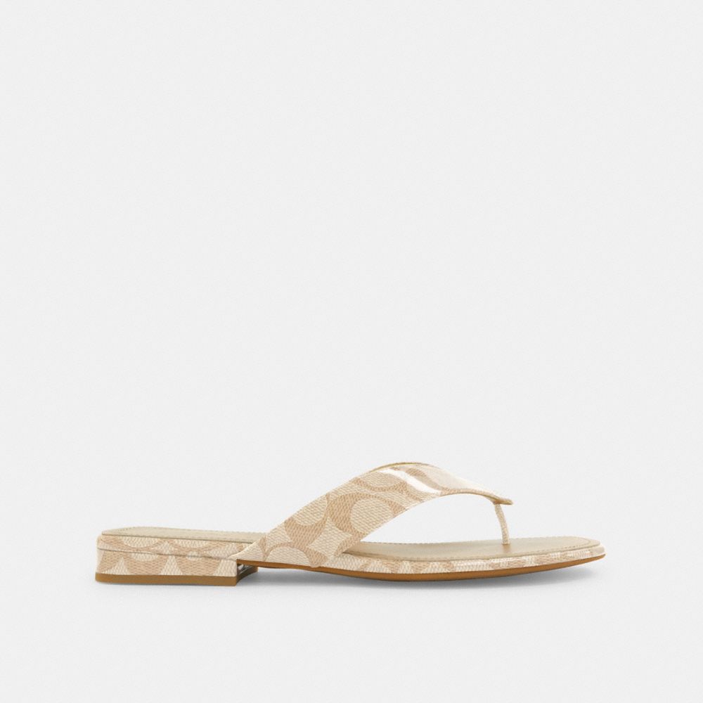 Coach Bridgette Sandal In Signature Canvas Beechwood