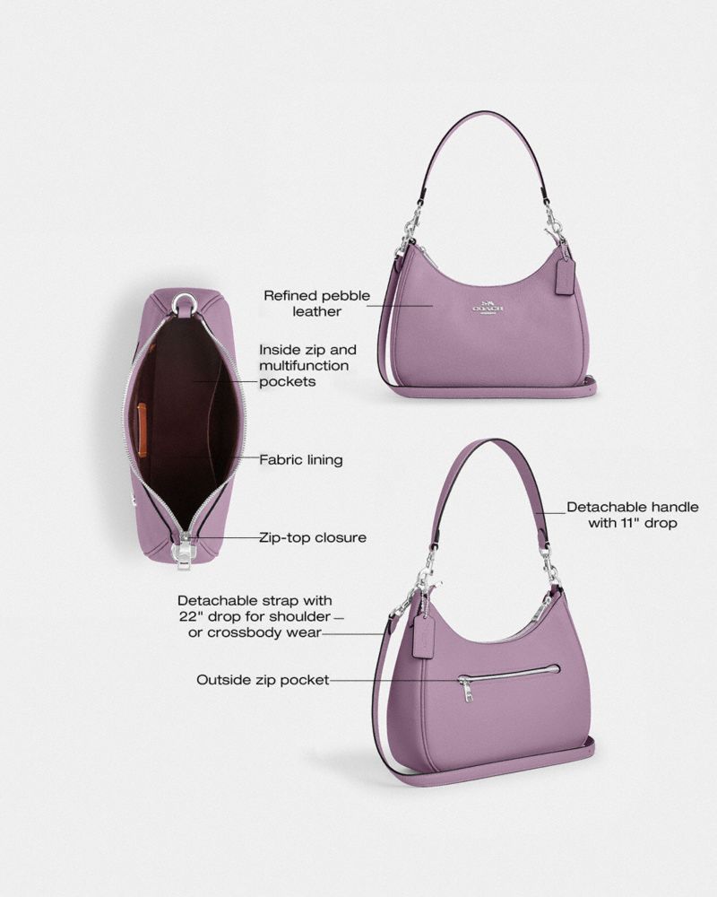 Coach Teri Hobo Bag Silver Jasmine