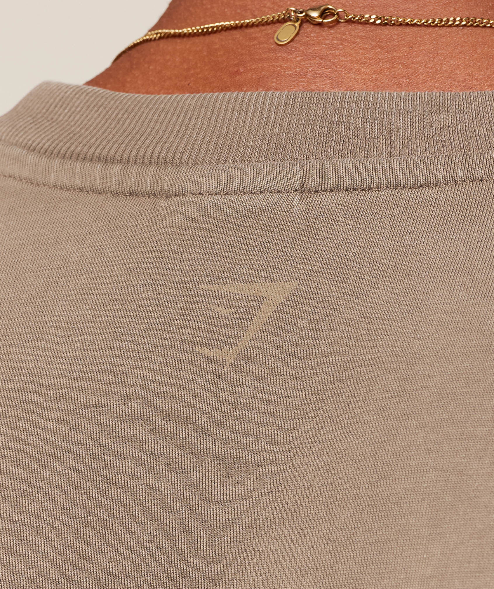 Gymshark Collegiate Washed T-Shirt Soft Brown