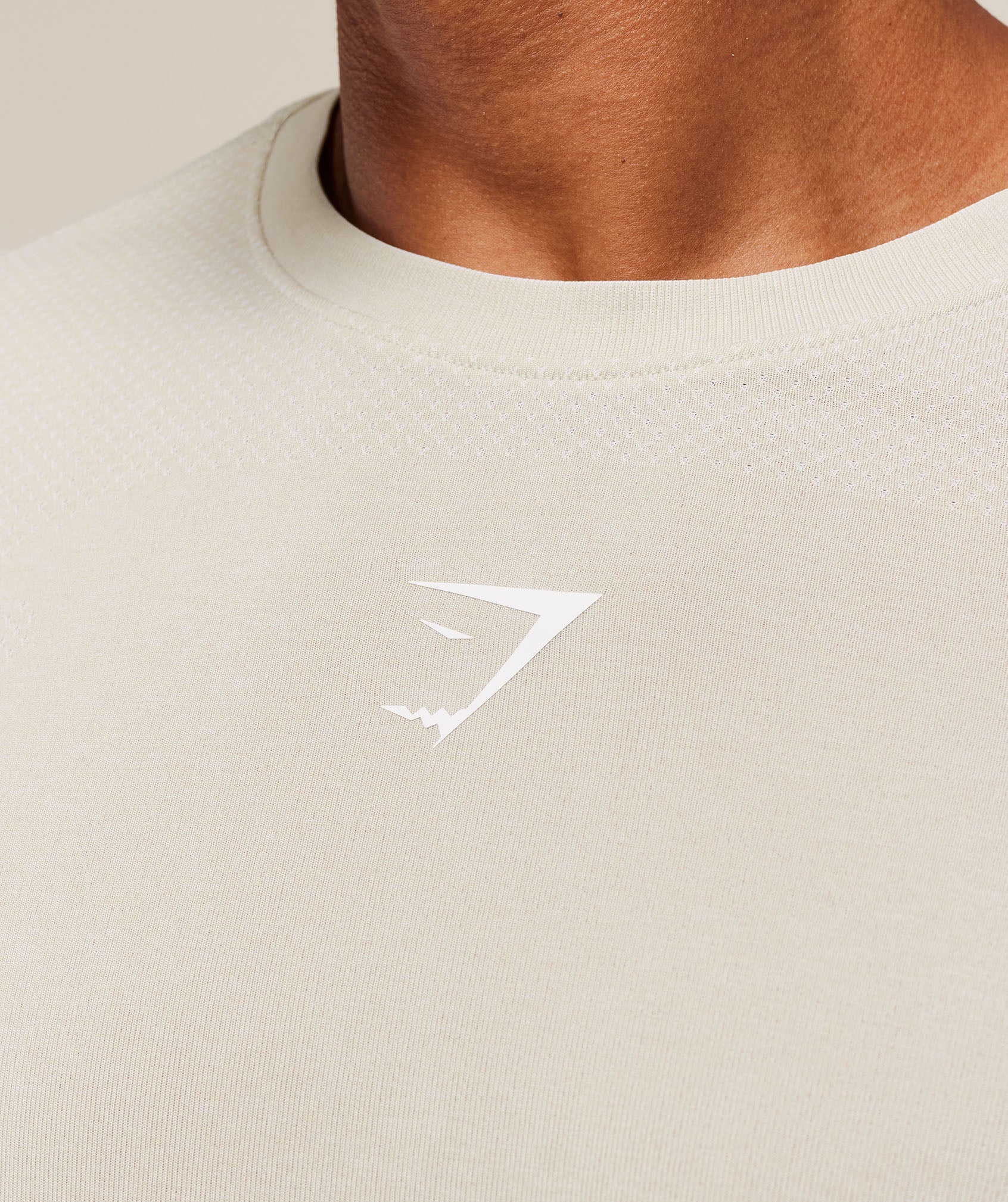 Gymshark Lightweight Seamless T-Shirt Pebble Grey