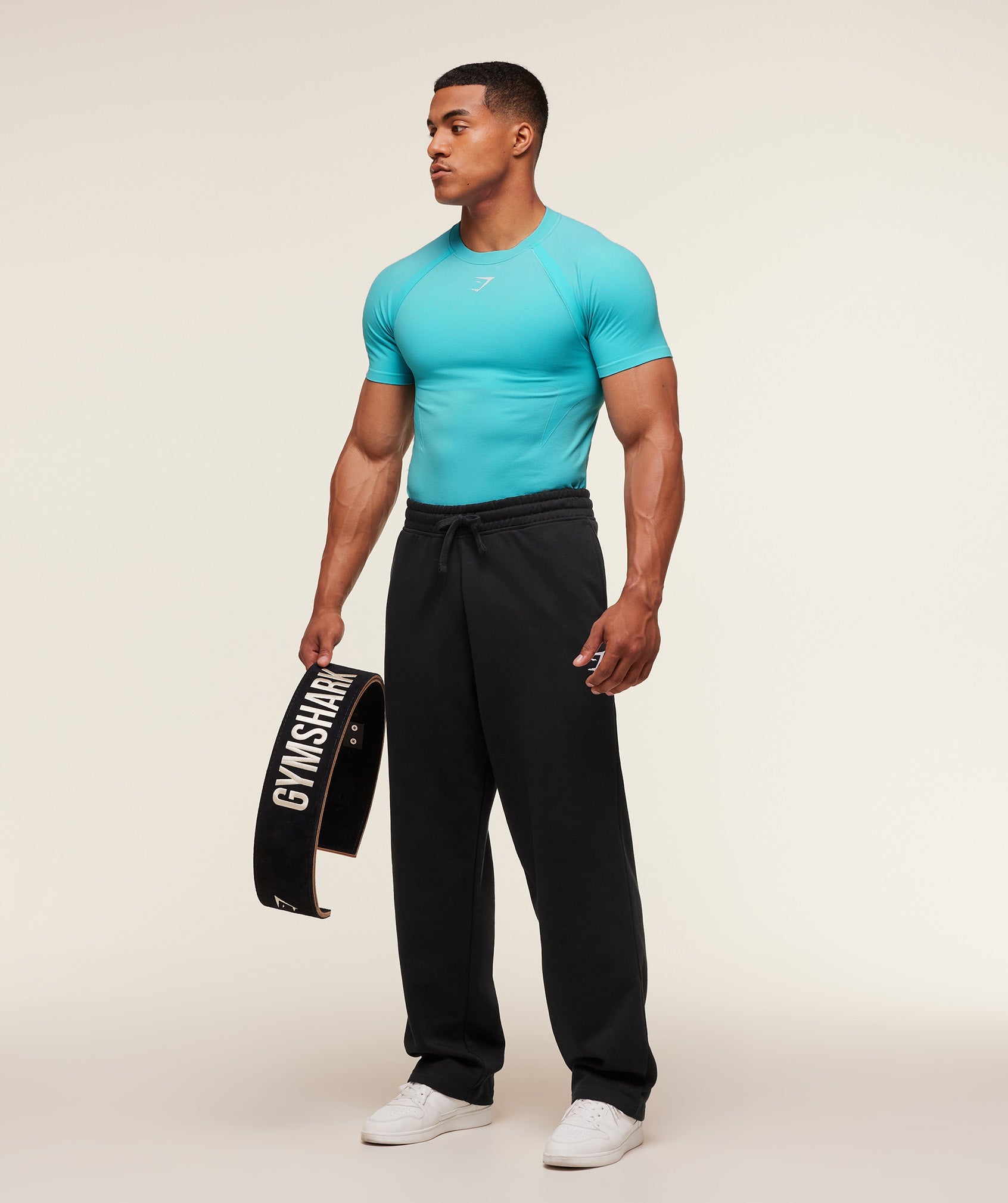 Gymshark Shadow Seamless T Shirt Brand Blue