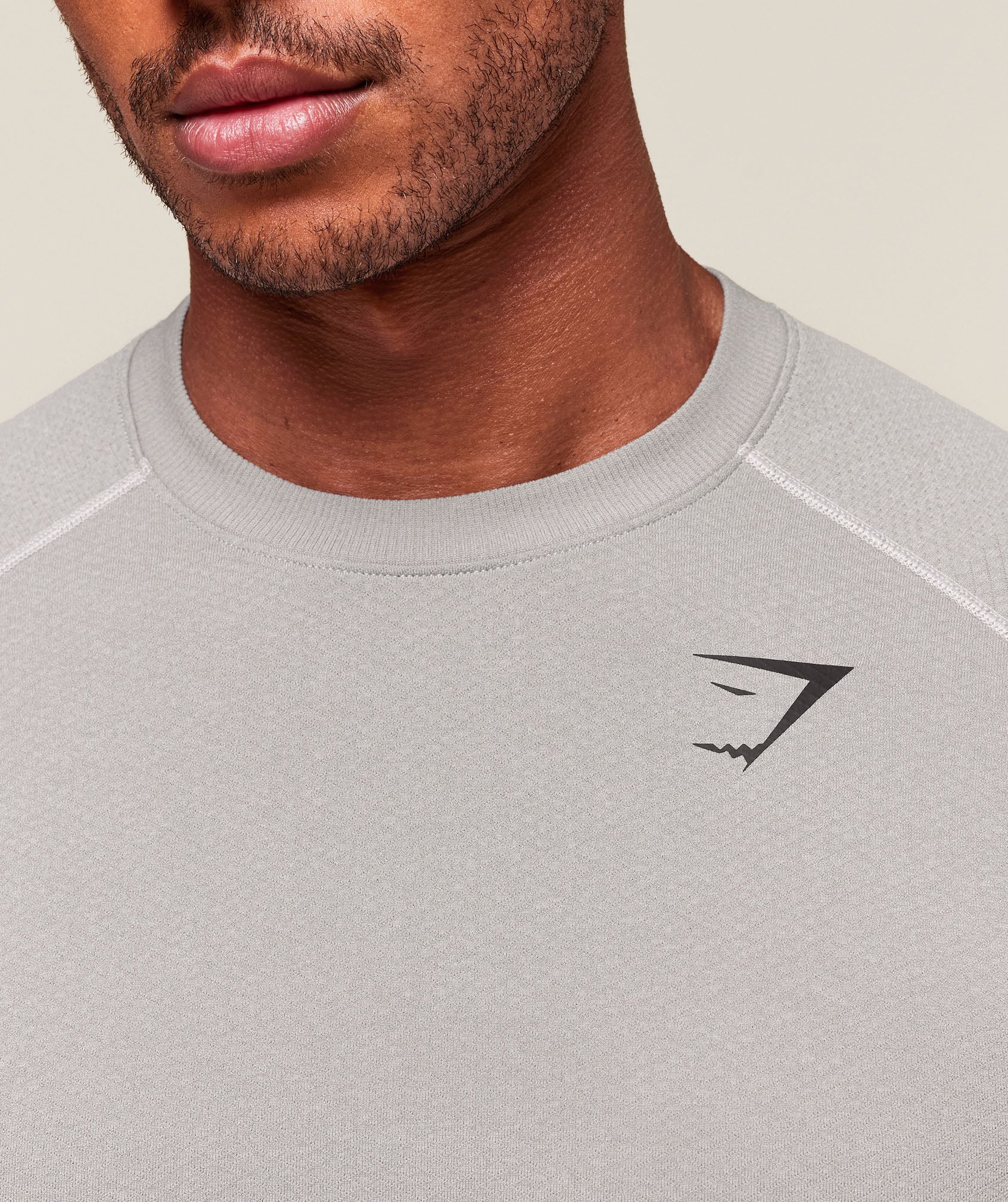 Gymshark Vital Seamless T-Shirt Light Grey
