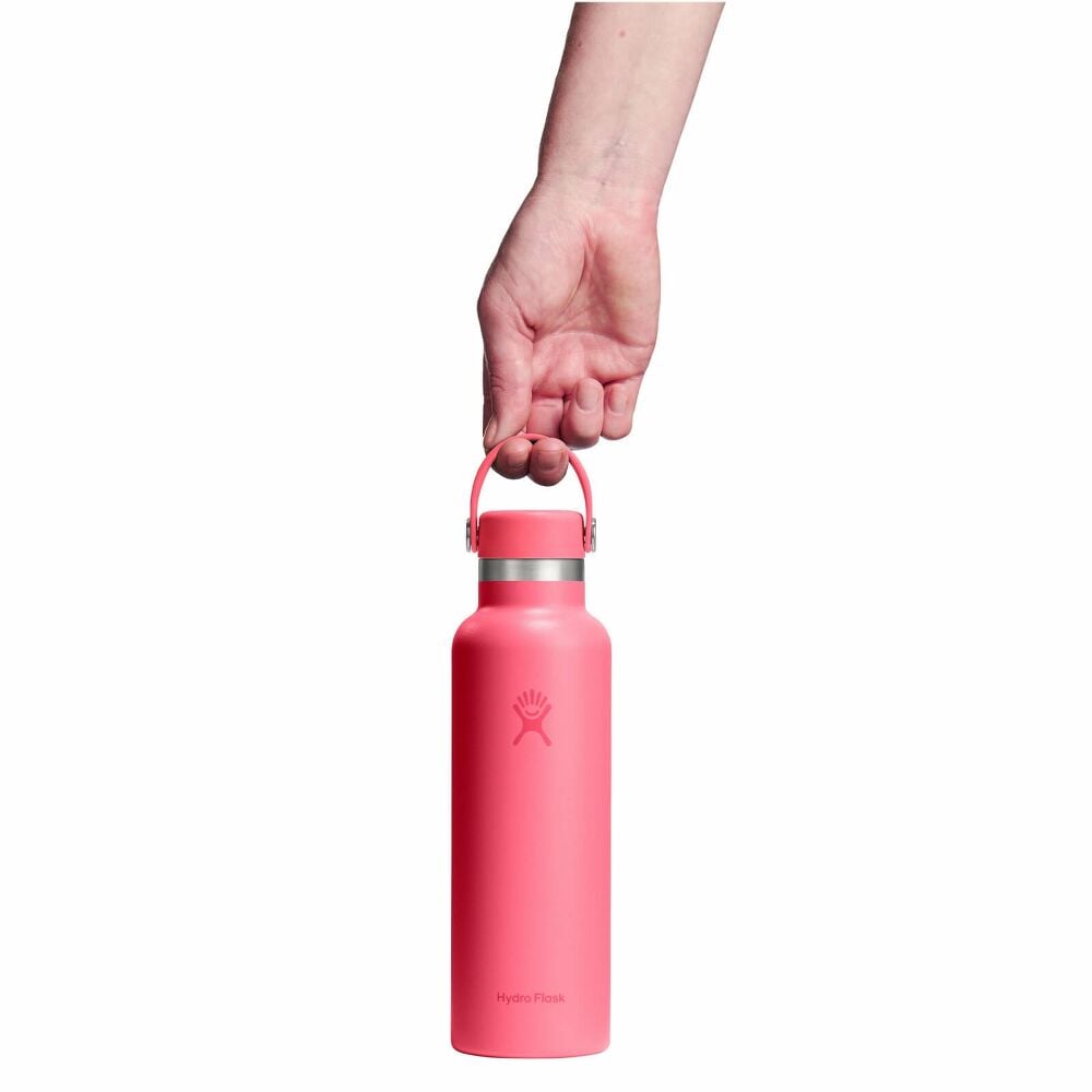 Hydro Flask 21 Oz Standard Mouth: 21 Oz Water Bottle