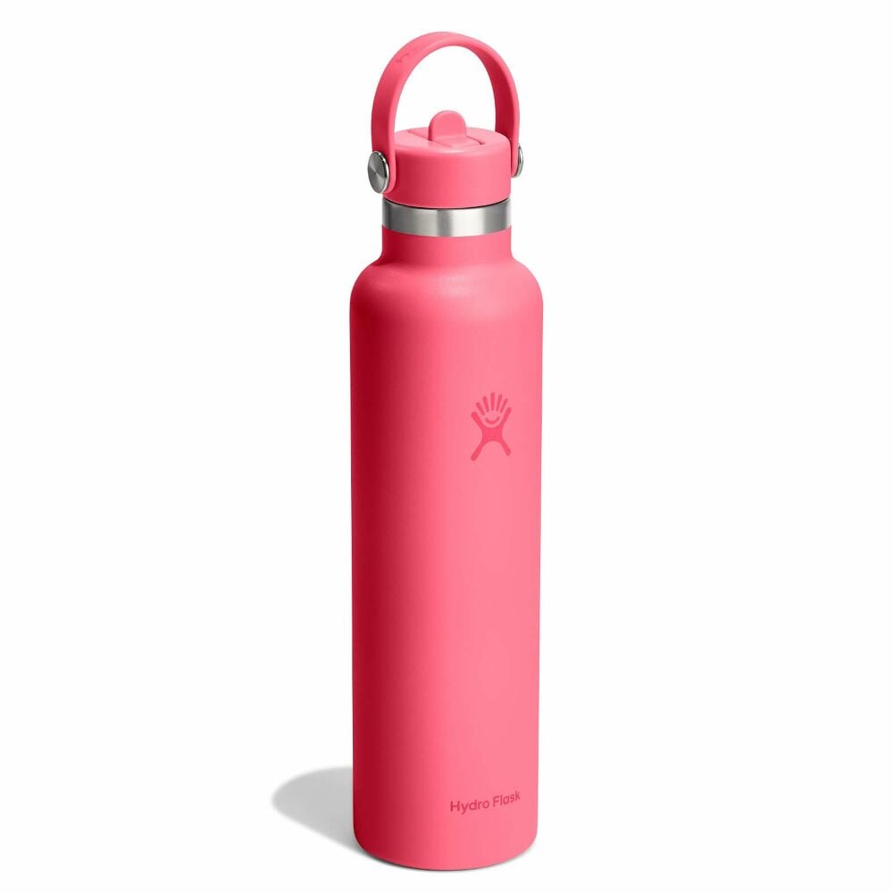 Hydro Flask 24 Oz Standard Mouth With Flex Straw Cap