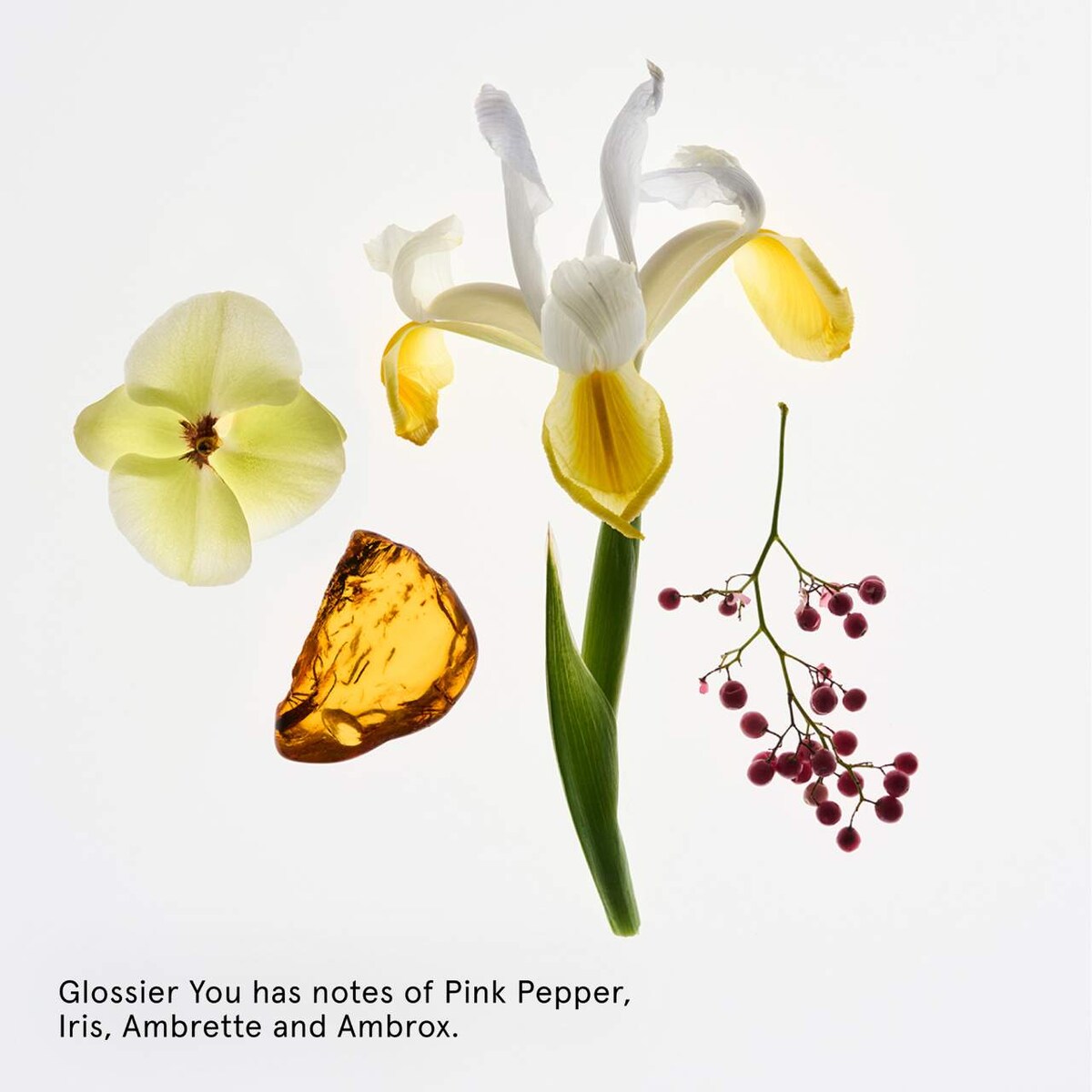 Deodorant Refillable Case + YOU Refill Set