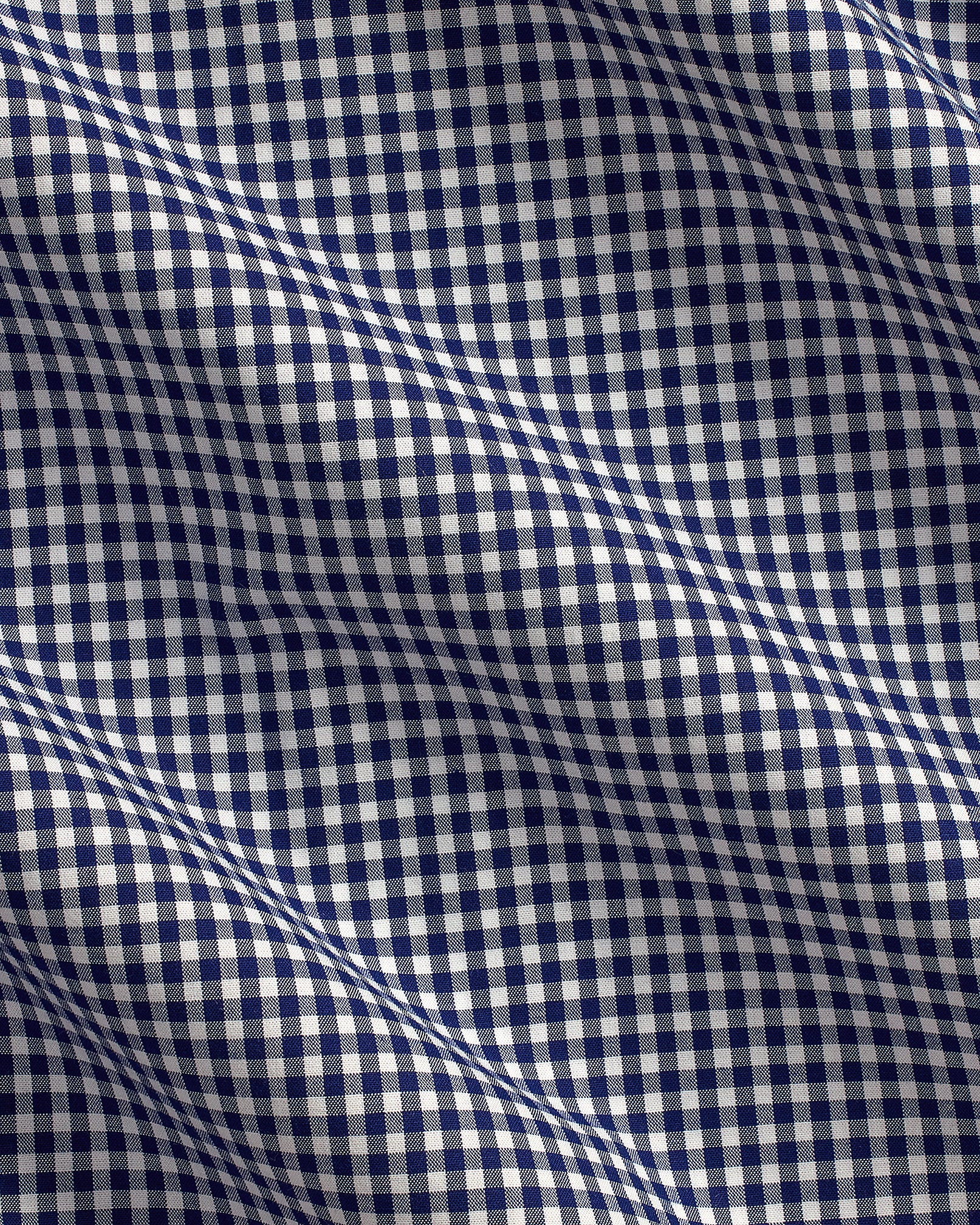 Ralph Lauren Gingham Stretch Poplin Shirt