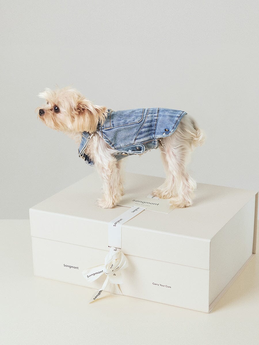 Songmont Small Luna & Pet Leash Box Ivory Cream Apricot