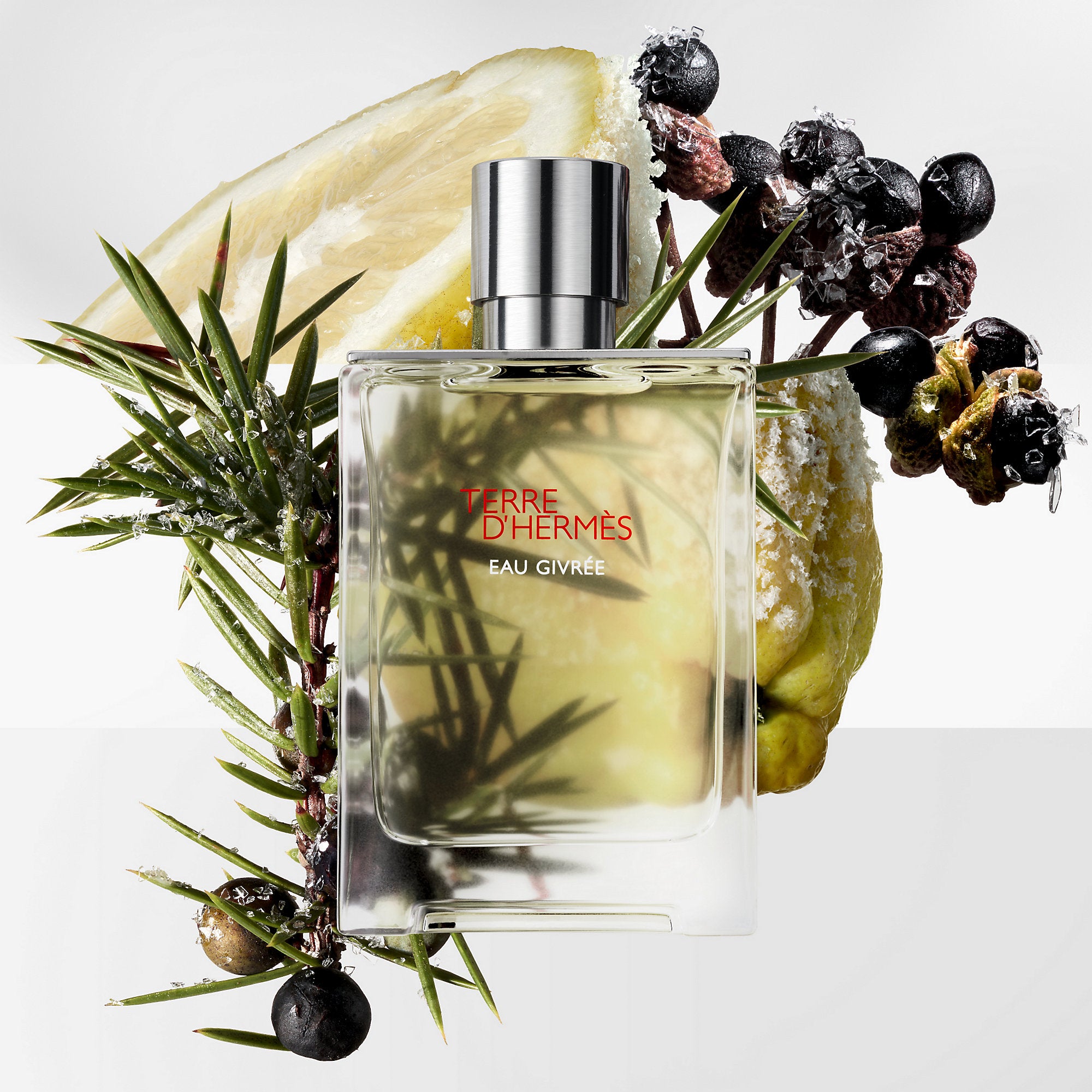 Hermes Terre D' Eau Givree Eau De Parfum
