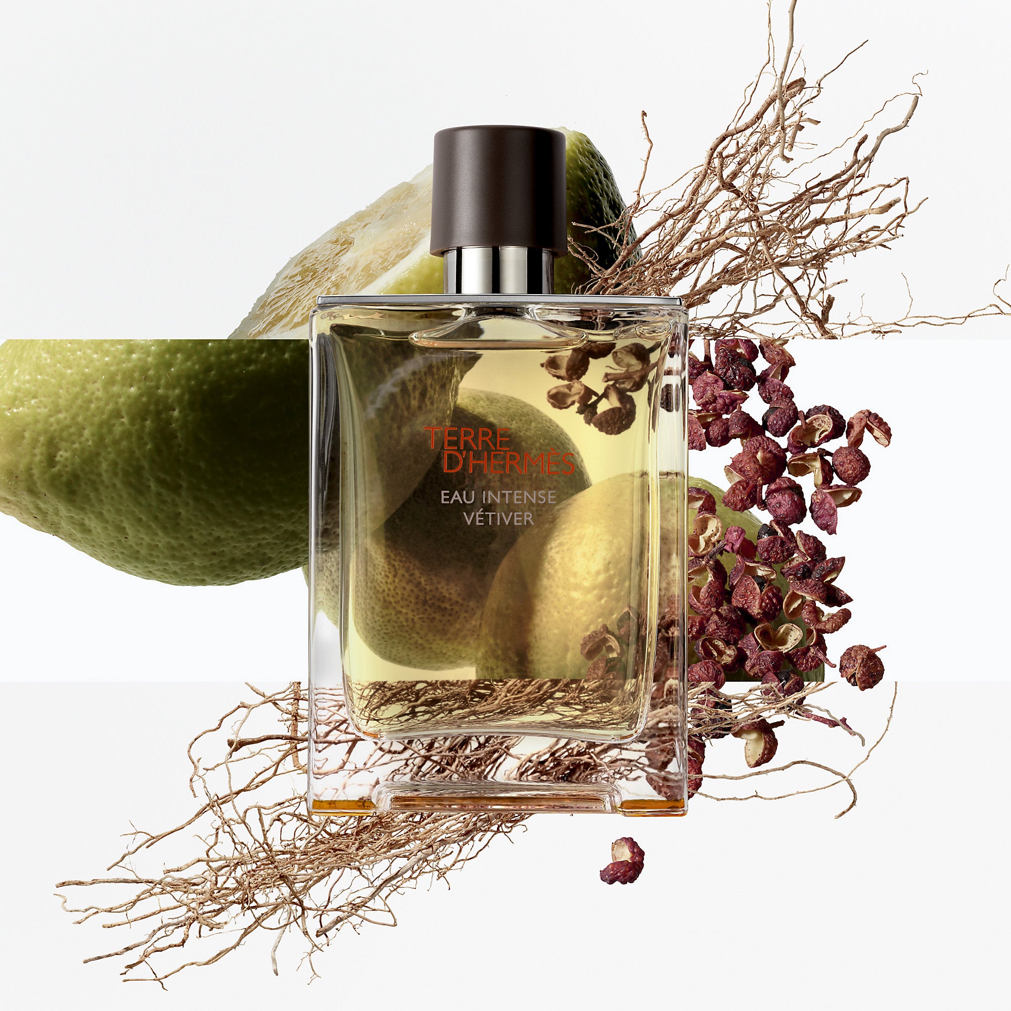 Hermes Terre D' Eau Intense Vetiver Eau De Parfum