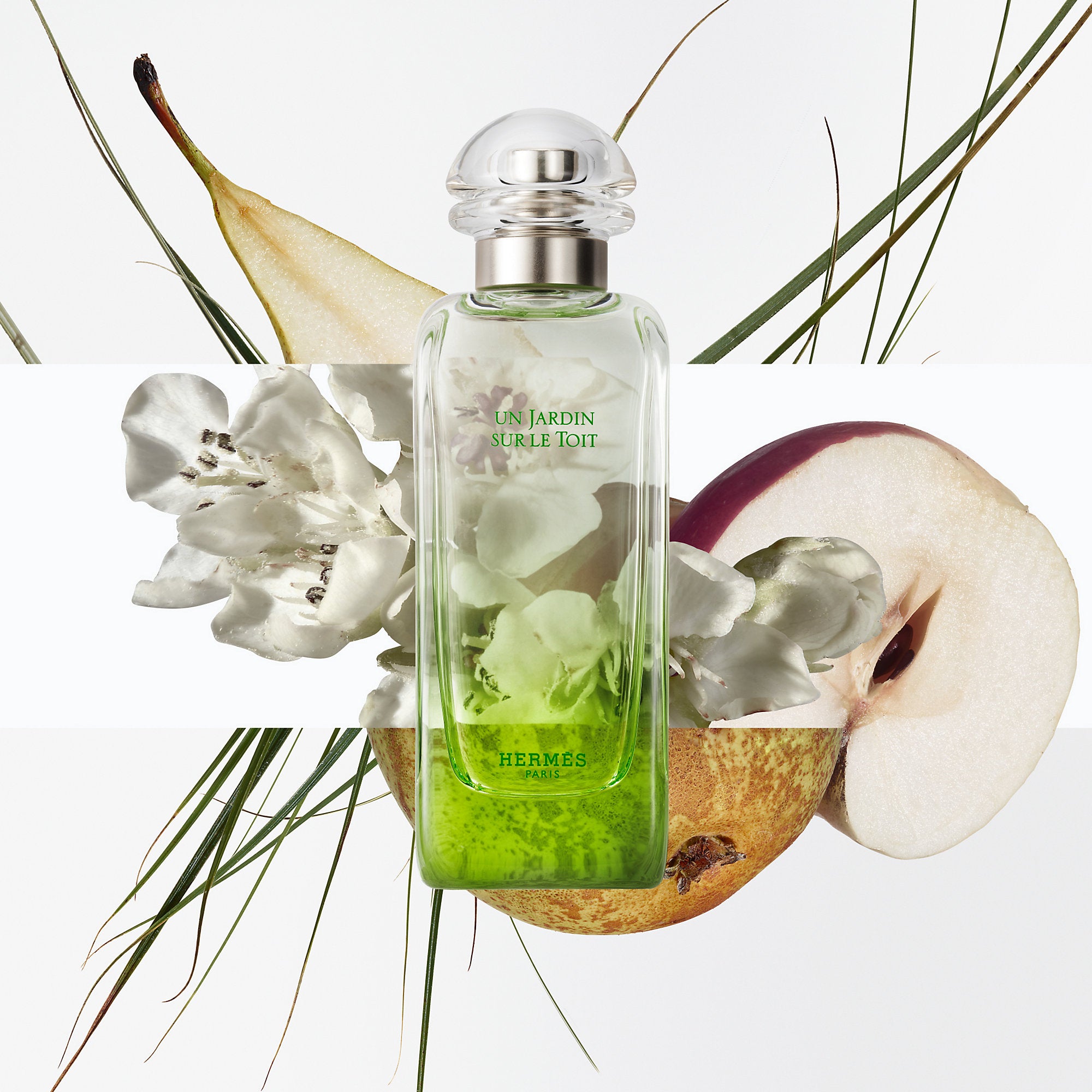 Hermes Un Jardin Sur Le Toit Eau De Toilette