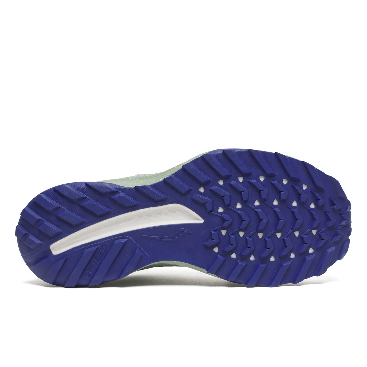 Saucony Women's Ride TR2 GTX Quartz | Mist