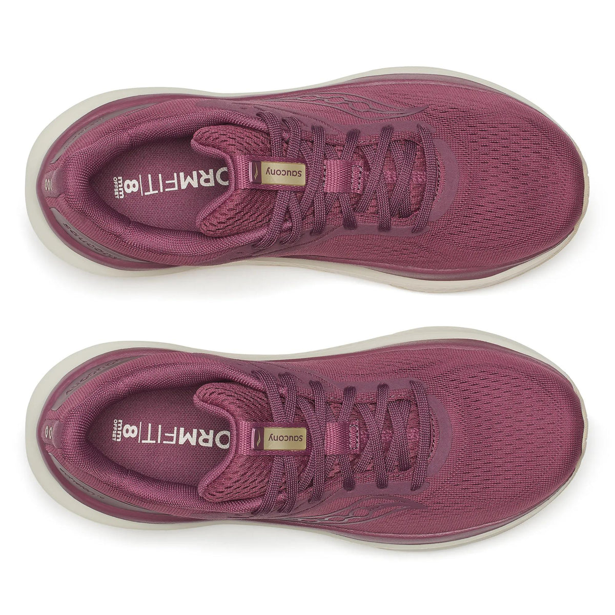 Saucony Women's Echelon 10 Terra | Almond