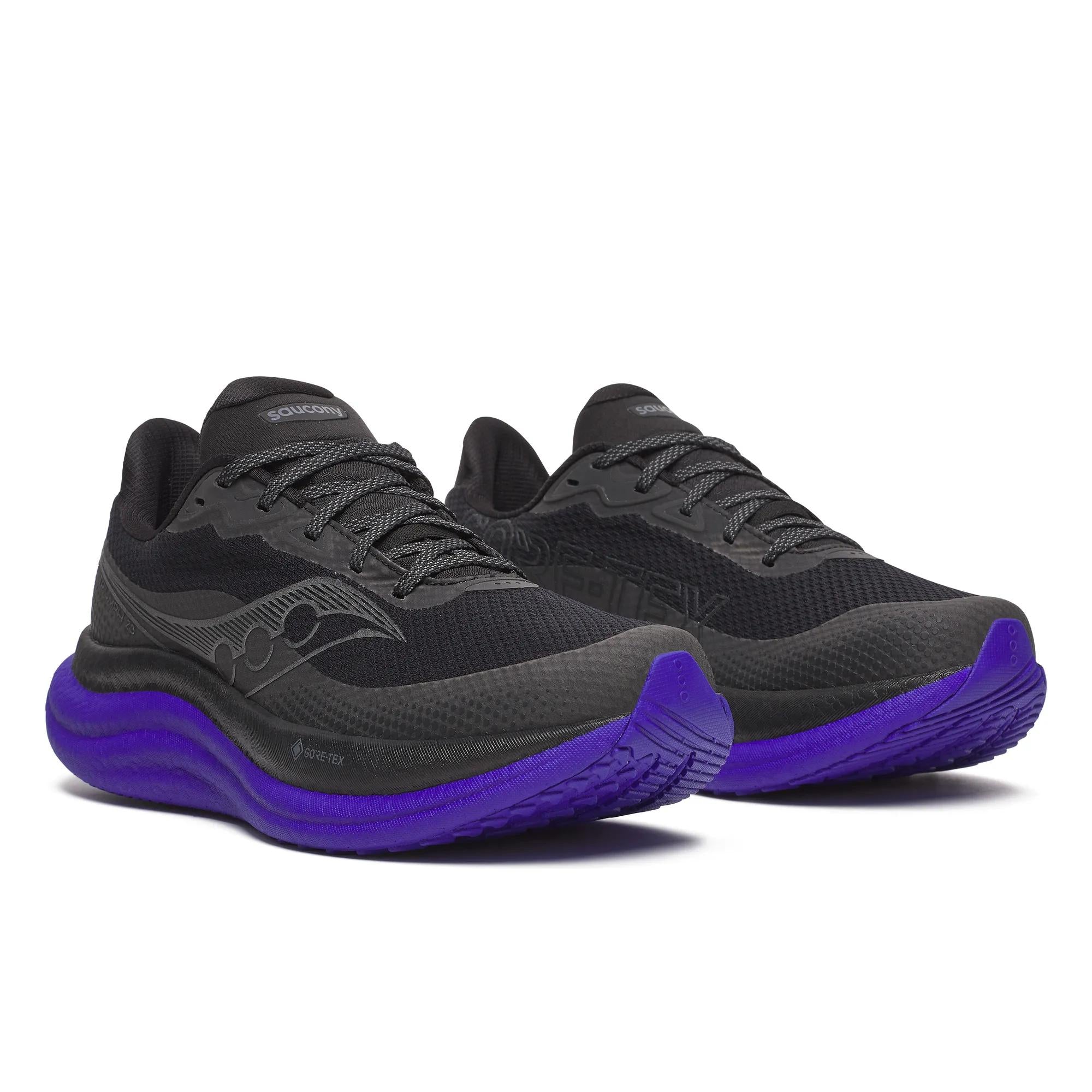 Saucony Men's Triumph 23 GTX Black | Regal