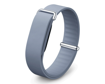 Google Fitbit Air Elevated Modern Band Strap