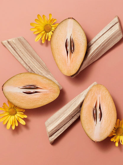 HERMÈS Hermèsistible Infused Lip Care Oil