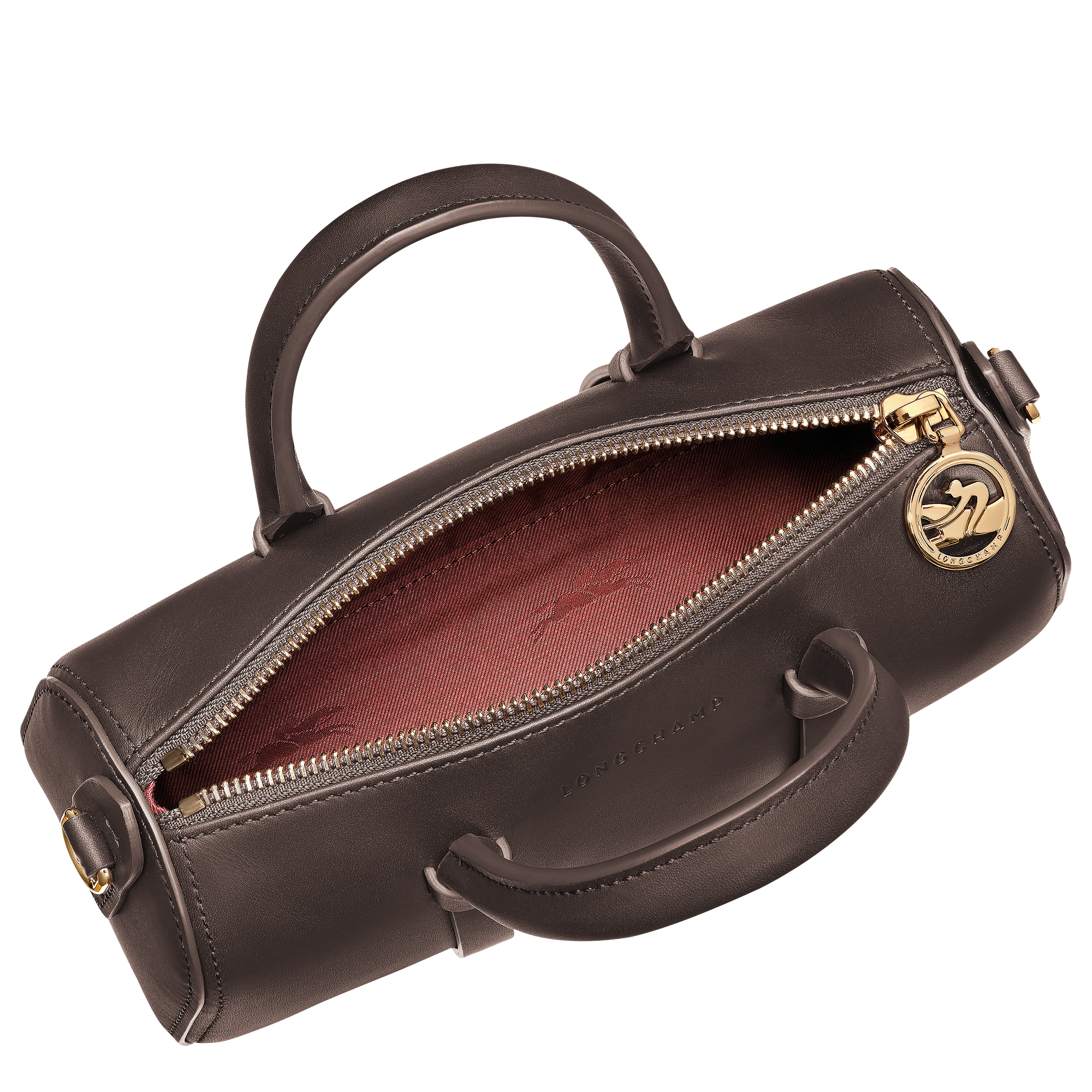 Longchamp Daylong S Handbag Mocha